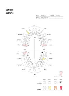 앞니 건강 검진 결과지